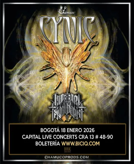Cynic