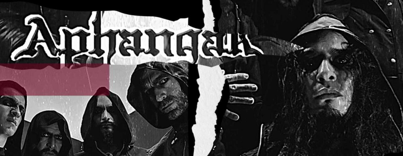 Banner image