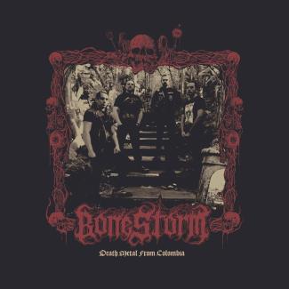 Imagen o logo de Bonestorm