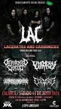 Lacerated And Carbonized 